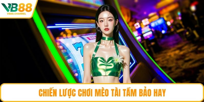 Chiến lược chơi Mèo Tài Tầm Bảo hay