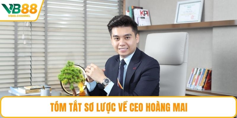 Tóm tắt sơ lược về CEO Hoàng Mai